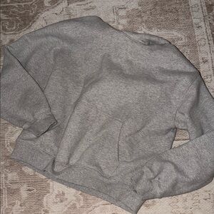 Aritzia Gray Cozy Fleece Perfect Hoodie